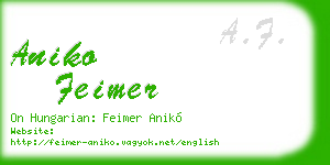 aniko feimer business card